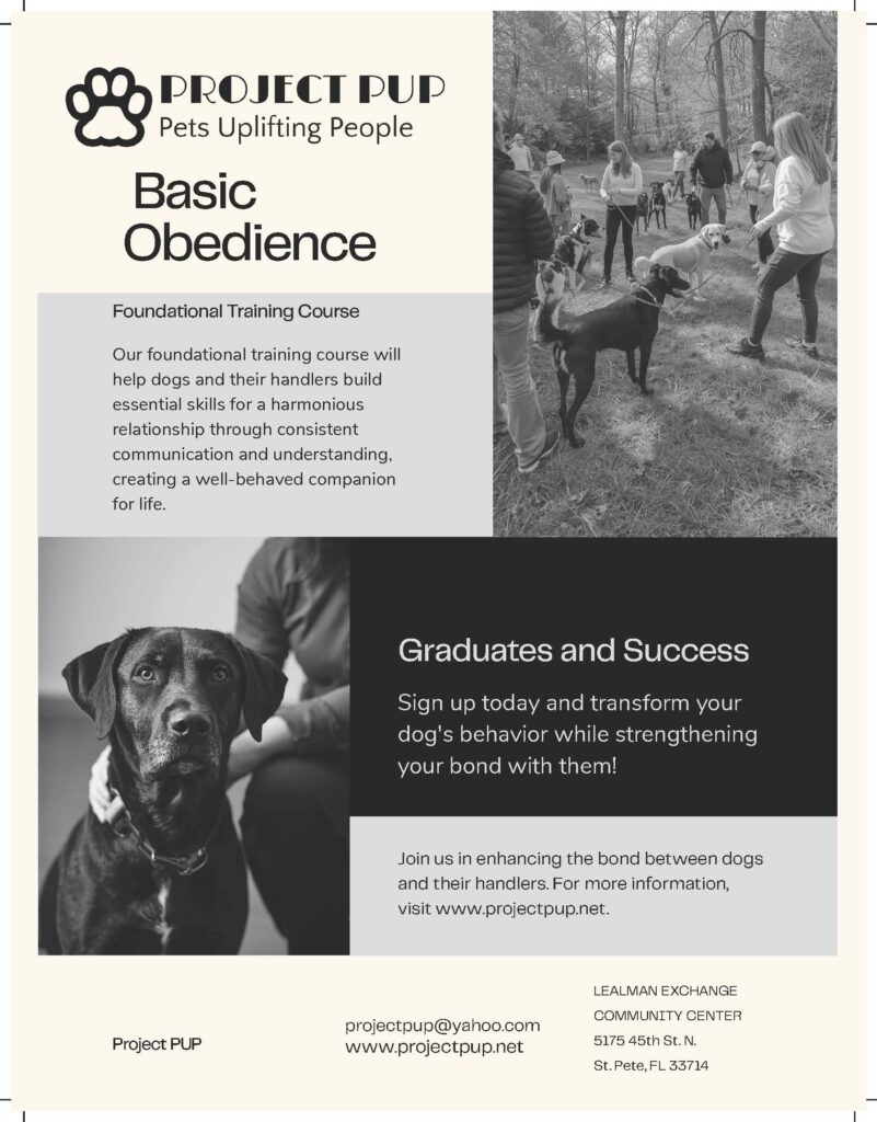 Dog obedience flyer