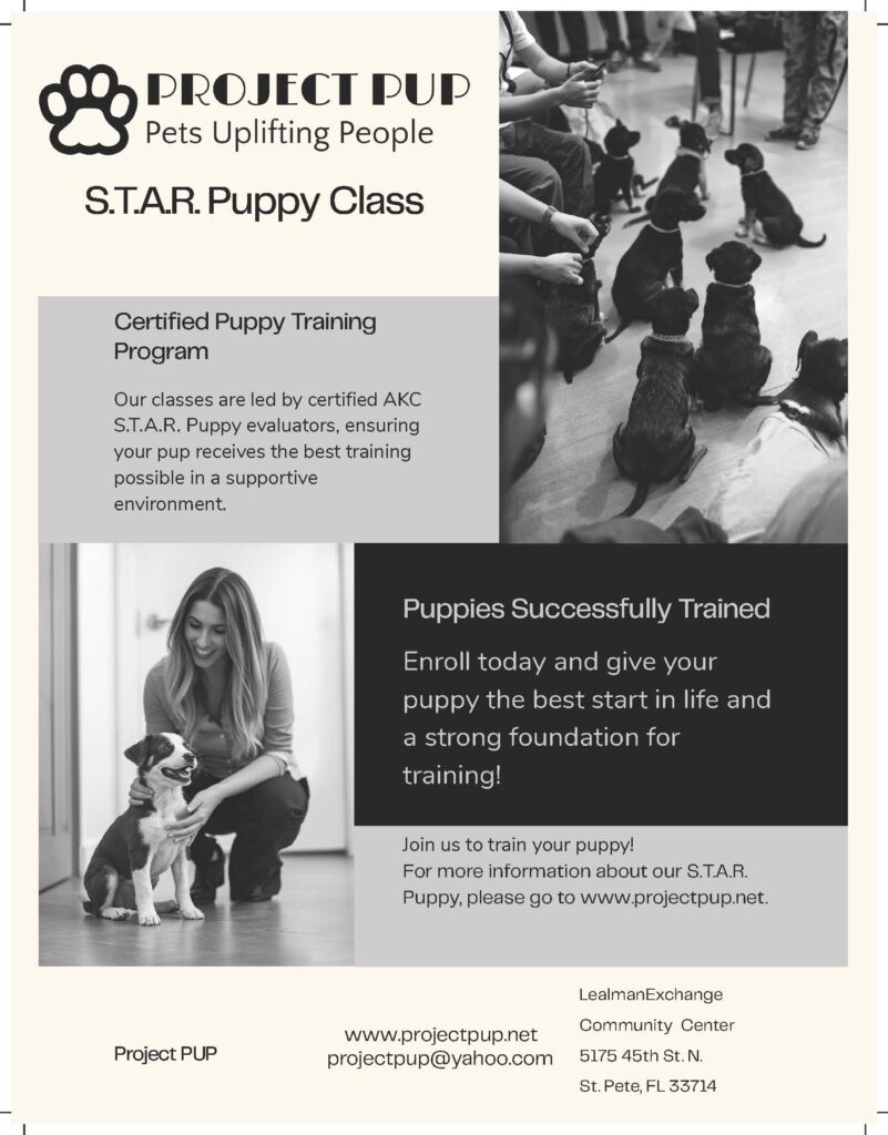 Puppy training flyer