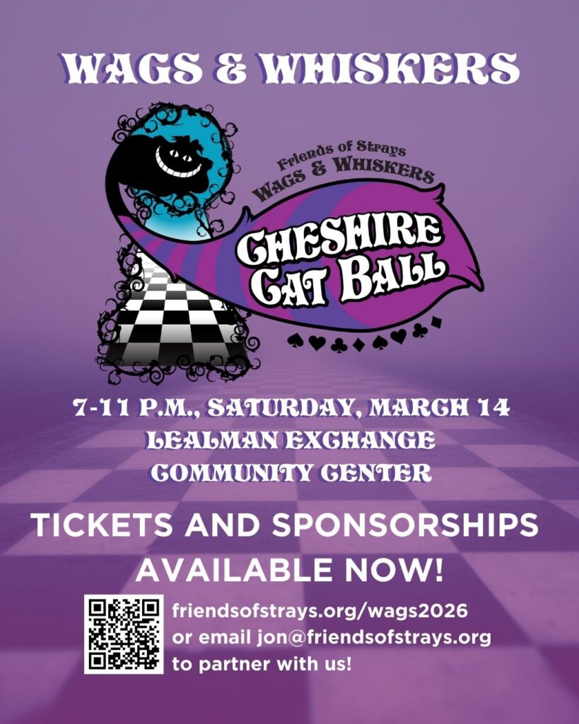 Flyer for a fundraising gala